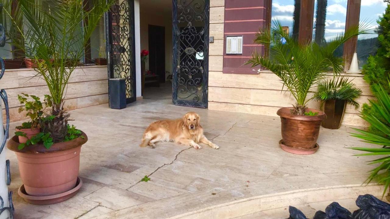 Апартаменти Велека Бийч Sinemoretz Exterior photo